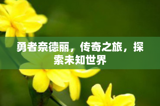 探索未知世界图片