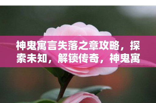 神鬼寓言失落之章攻略图片