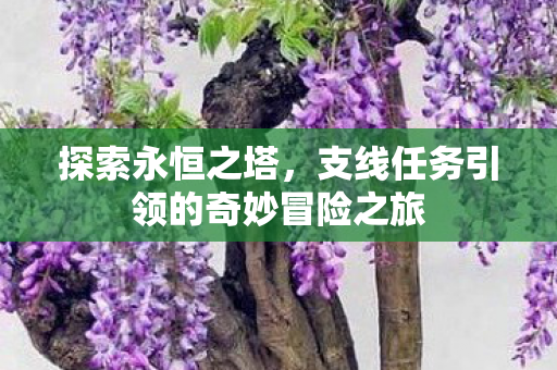 支线任务引领的奇妙冒险之旅图片