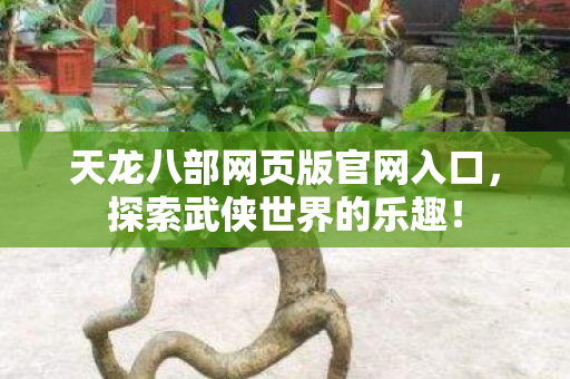 天龙八部网页版官网入口图片