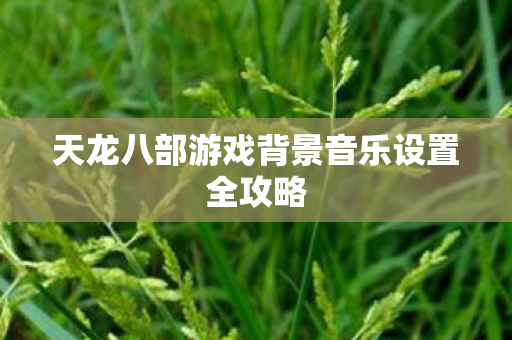 天龙八部游戏背景音乐设置全攻略图片