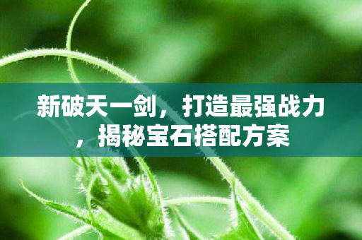 揭秘宝石搭配方案图片