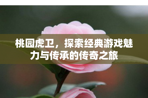 探索经典游戏魅力与传承的传奇之旅图片