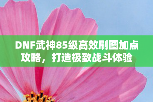 DNF武神85级高效刷图加点攻略图片