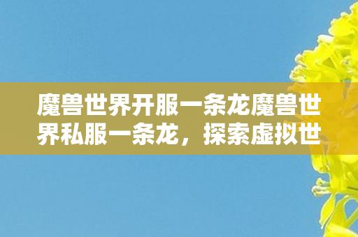 魔兽世界开服一条龙魔兽世界私服一条龙图片