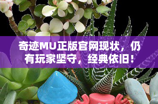 奇迹MU正版官网现状图片