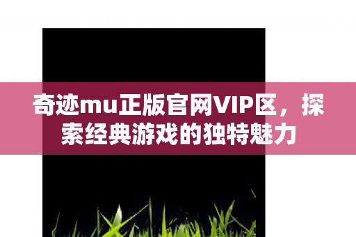 奇迹mu正版官网VIP区图片