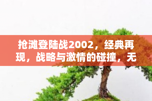 抢滩登陆战2002,经典再现,战略与激情的碰撞,无限子弹等你来战! 抢滩登陆战2002,经典再现,战略与激情的碰撞,无限子弹等你来战!