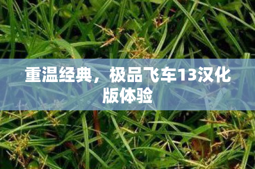 极品飞车13汉化版体验图片