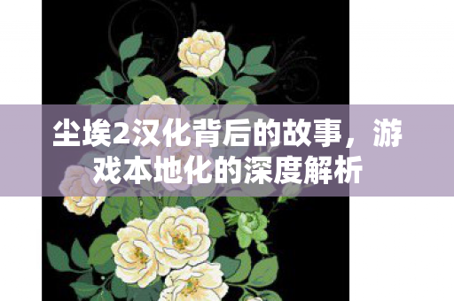 尘埃2汉化背后的故事图片