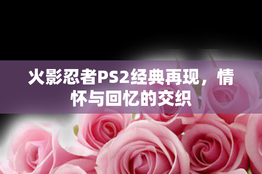 火影忍者PS2经典再现图片