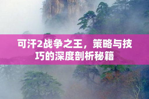策略与技巧的深度剖析秘籍图片