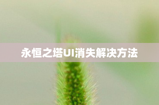 永恒之塔UI消失解决方法图片