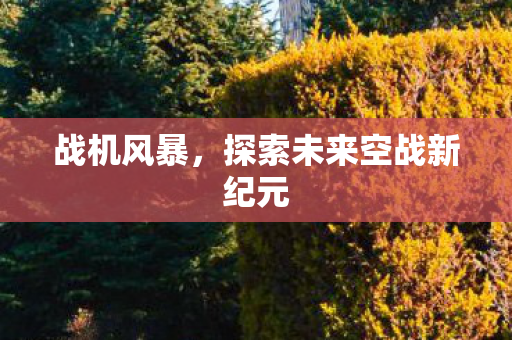 战机风暴，探索未来空战新纪元