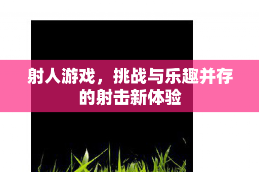 射人游戏，挑战与乐趣并存的射击新体验