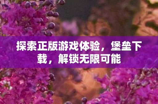 探索正版游戏体验图片
