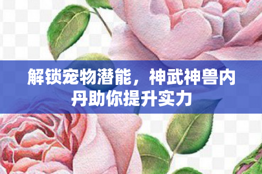 神武神兽内丹助你提升实力图片