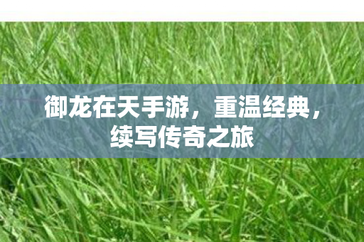 御龙在天手游图片