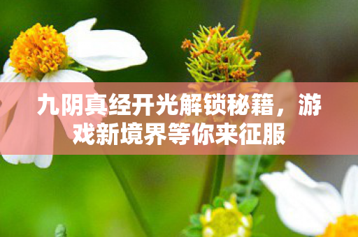 九阴真经开光解锁秘籍图片