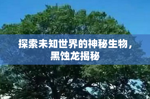 探索未知世界的神秘生物,黑蚀龙揭秘 探索未知世界的神秘生物,黑蚀龙揭秘