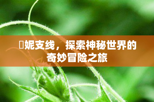 探索神秘世界的奇妙冒险之旅图片