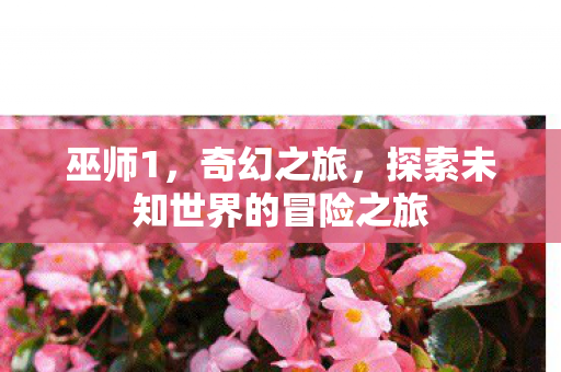 探索未知世界的冒险之旅图片