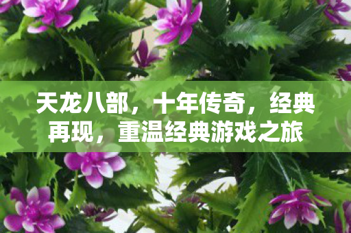 重温经典游戏之旅图片