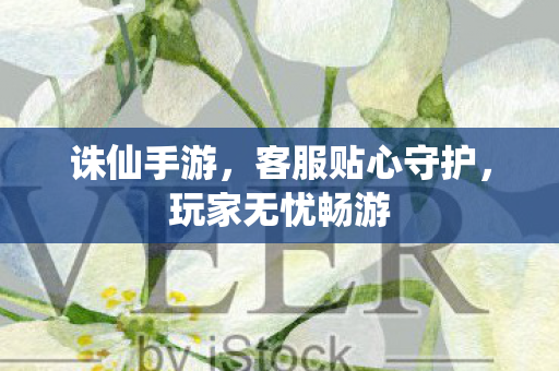 客服贴心守护图片