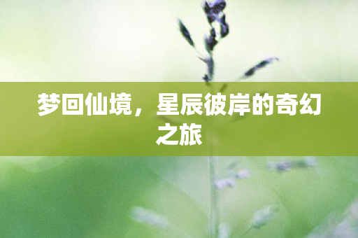 星辰彼岸的奇幻之旅图片