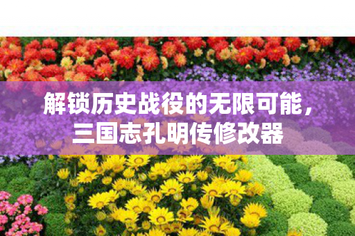 解锁历史战役的无限可能图片