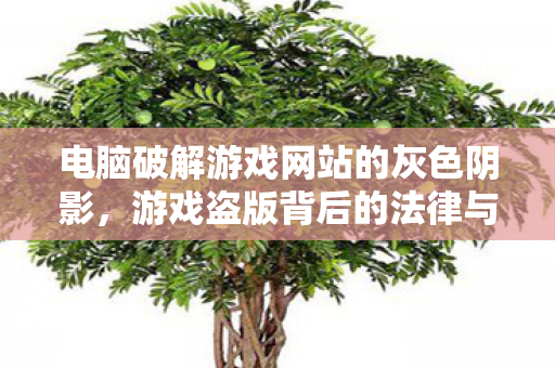 游戏盗版背后的法律与道德争议图片