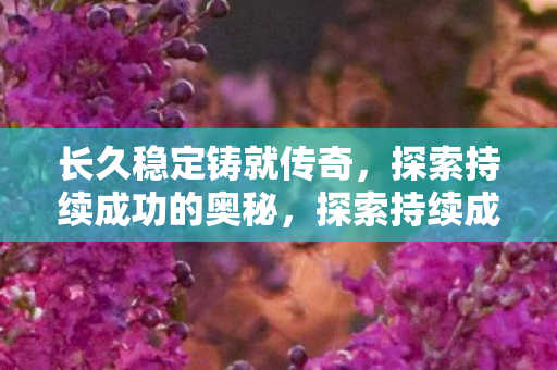 探索持续成功的奥秘图片