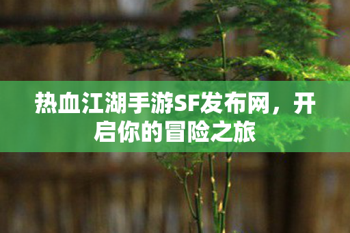 热血江湖手游SF发布网图片