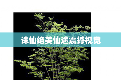 诛仙绝美仙途震撼视觉图片