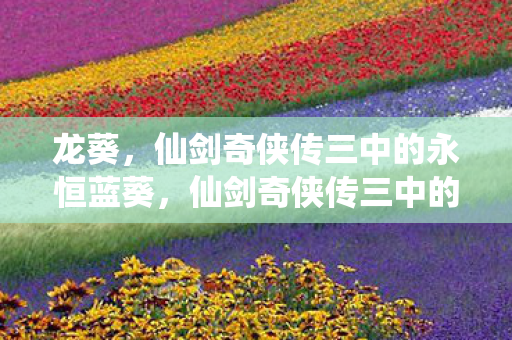 仙剑奇侠传三中的永恒蓝葵图片