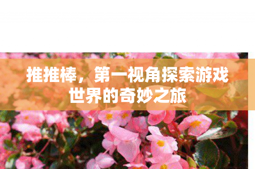 第一视角探索游戏世界的奇妙之旅图片