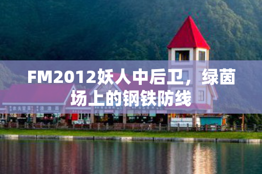 FM2012妖人中后卫图片