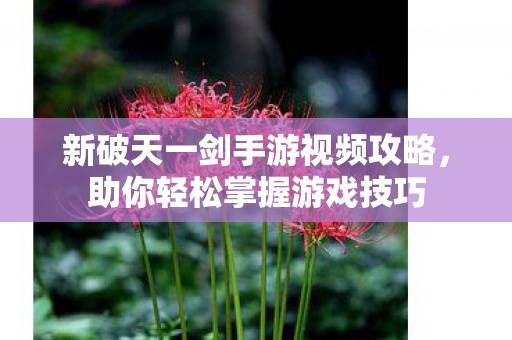 新破天一剑手游视频攻略图片