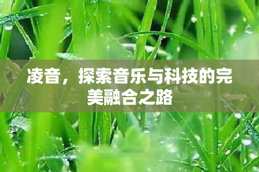 凌音,探索音乐与科技的完美融合之路 凌音,探索音乐与科技的完美融合之路