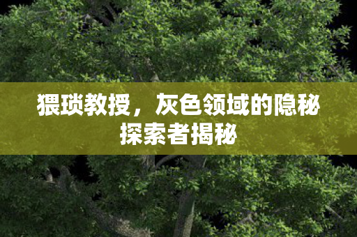 灰色领域的隐秘探索者揭秘图片