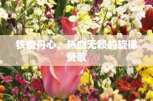 热血无赖的旋律赞歌图片