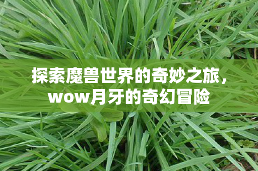 探索魔兽世界的奇妙之旅图片