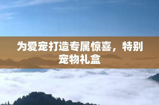 为爱宠打造专属惊喜图片