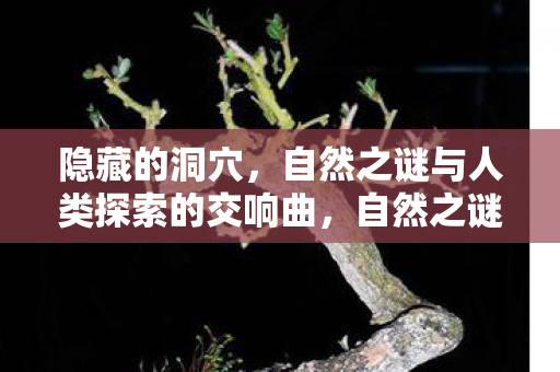 隐藏的洞穴,自然之谜与人类探索的交响曲,自然之谜,探索隐藏洞穴的交响曲 隐藏的洞穴,自然之谜与人类探索的交响曲,自然之谜,探索隐藏洞穴的交响曲