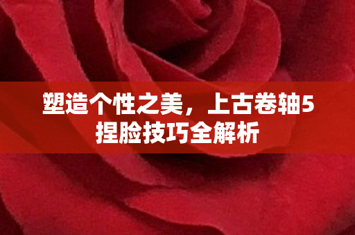 塑造个性之美,上古卷轴5捏脸技巧全解析 塑造个性之美,上古卷轴5捏脸技巧全解析