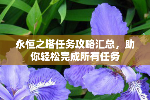 永恒之塔任务攻略汇总图片