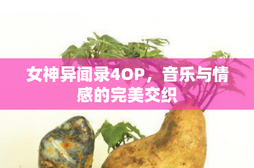 音乐与情感的完美交织图片