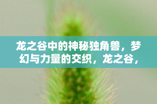龙之谷中的神秘独角兽,梦幻与力量的交织,龙之谷,神秘独角兽,梦幻与力量的传奇交织 龙之谷中的神秘独角兽,梦幻与力量的交织,龙之谷,神秘独角兽,梦幻与力量的传奇交织