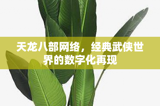 经典武侠世界的数字化再现图片