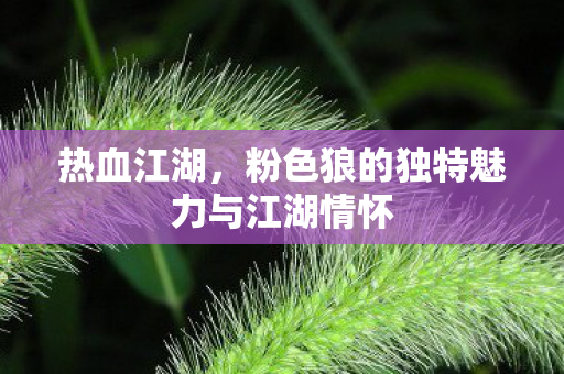 粉色狼的独特魅力与江湖情怀图片